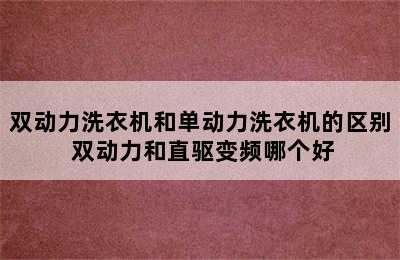 双动力洗衣机和单动力洗衣机的区别 双动力和直驱变频哪个好